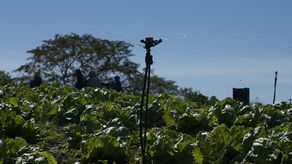 Crece el movimiento de cooperativas de productores