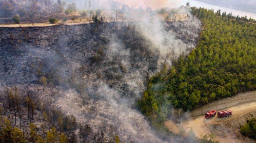 Según datos de la Unión Europea, Turquía sufrió 133 incendios en lo que va del año 2021. AFP