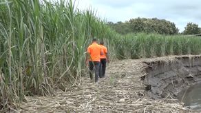 El Sinaproc continúa con las evaluaciones en las áreas vulnerables a inundaciones y que en las últimas dos semanas en Chiriquí.