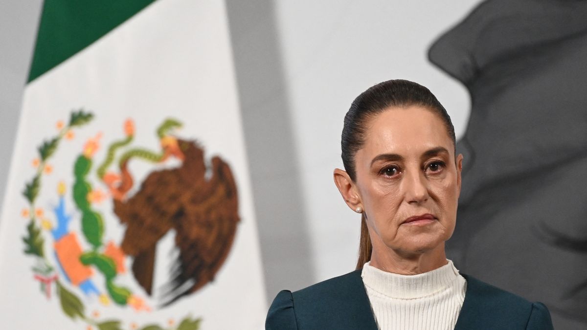 El acoso sexual sin precedentes sufrido por la presidenta de México, Claudia Sheinbaum, en plena calle hizo patente la realidad que enfrentan las mexicanas a diario y desató preocupación por su débil aparato de seguridad, que permite una gran cercanía física de los ciudadanos. El acoso sexual sin precedentes sufrido por la presidenta de México, Claudia Sheinbaum, en plena calle hizo patente la realidad que enfrentan las mexicanas a diario y desató preocupación por su débil aparato de seguridad, que permite una gran cercanía física de los ciudadanos.