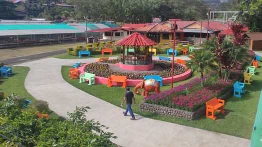 La organización de las Ferias de las Flores y del Café en Boquete espera para esta versión unos 150 mil visitantes que llegarán de diversas zonas del país y también del extranjero.