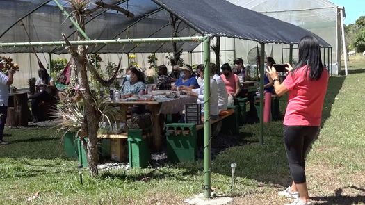 Una finca en Cochea, distrito de David se ha convertido en un nuevo destino de turismo apreciado por visitantes que disfrutan de ver técnicas amigables con el ambiente.