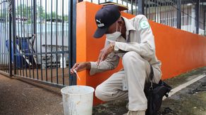 Minsa: dengue en Panamá afecta principalmente a jóvenes y adultos entre 10 y 59 años