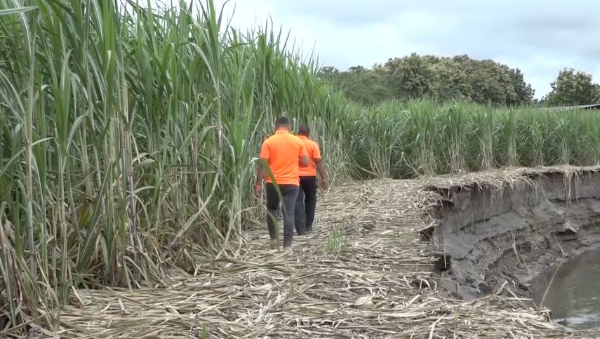El Sinaproc continúa con las evaluaciones en las áreas vulnerables a inundaciones y que en las últimas dos semanas en Chiriquí.