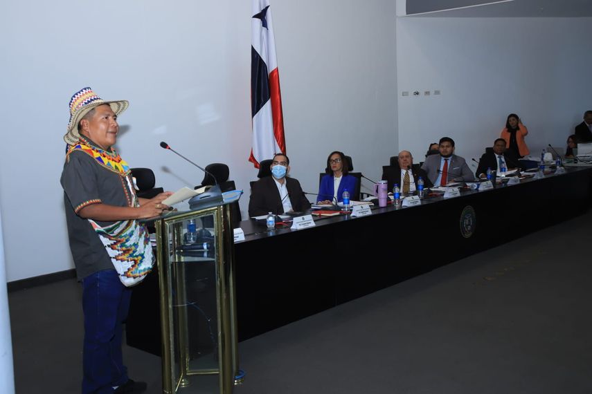 Pueblos originarios presentan propuestas de reformas a la CSS