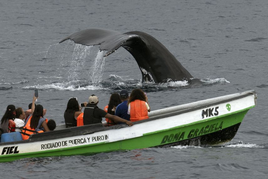 Esta situación preocupa al sector turístico y hotelero de Panamá, que a través de la Asociación Panameña de Hoteles (APATEL), reiteró que es necesario asignar el presupuesto de 20 millones de dólares para la ejecución de la promoción turística del país. Esta situación preocupa al sector turístico y hotelero de Panamá, que a través de la Asociación Panameña de Hoteles (APATEL), reiteró que es necesario asignar el presupuesto de 20 millones de dólares para la ejecución de la promoción turística del país.