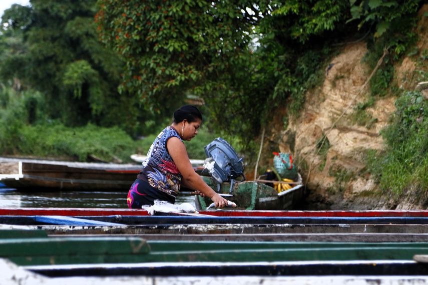 Comer más pescado: misión que pasa por derribar mitos y precios en América Latina