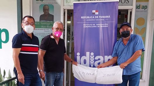 Se entregaron 10 variedades de arroz y maíz, liberadas por el IDIAP; de las cuales 7 son de uso comercial y 3 son biofortificadas.