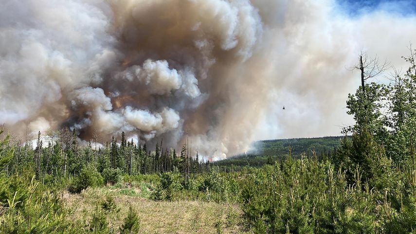 Canadá enfrenta incendios históricos con recursos limitados&nbsp;
