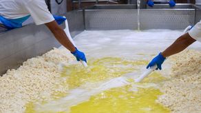 (MICI) anunció la publicación de ocho resoluciones mediante las cuales se ordena el inicio de investigaciones para la eventual activación del Mecanismo Especial de Salvaguarda Agrícola.