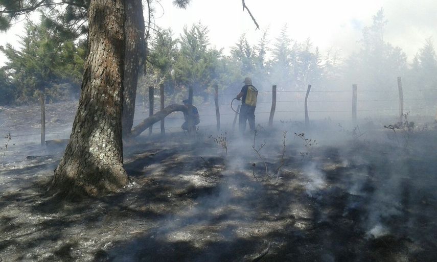 El Minsa en Chiriquí