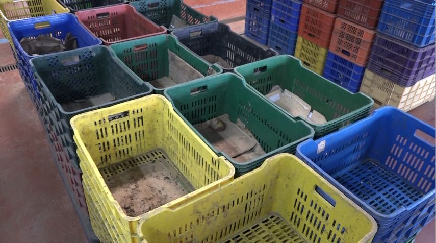 Merca Panamá desabastecido y con pérdidas millonarias