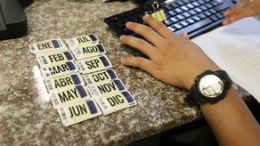 Alcaldía de Panamá inicia entrega de calcomanías de mayo 2023. ¿Qué requisitos debo cumplir?