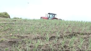 El Mida indicó que para garantizar una seguridad alimentaria es necesario que los productores implementen estrategias y tecnologías que les permita continuar con la producción.&nbsp;
