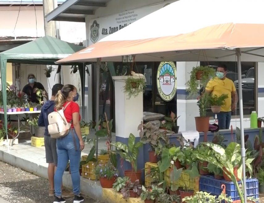 Feria Internacional de David.