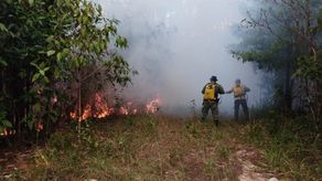 Bomberos: con la llegada de la temporada seca empiezan a aumentar incendios de herbazales.