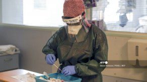 Variante británica del coronavirus se extiende a 70 países y sudafricana a 31 países