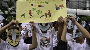 Cumbre de especies amenazadas ensaya sistema informático con votación sobre Mundial de Catar