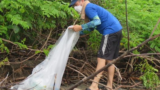 Voluntarios se unen a MiAmbiente en limpieza de playas