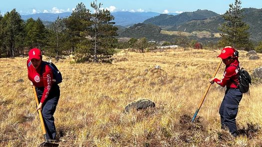 La Zona Regional tiene una cobertura geográfica que incluye los distritos de Bugaba, Barú, Boquerón, Tierras Altas y Renacimiento.