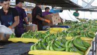 Bocas del Toro ha logrado reactivación en los empleos.
