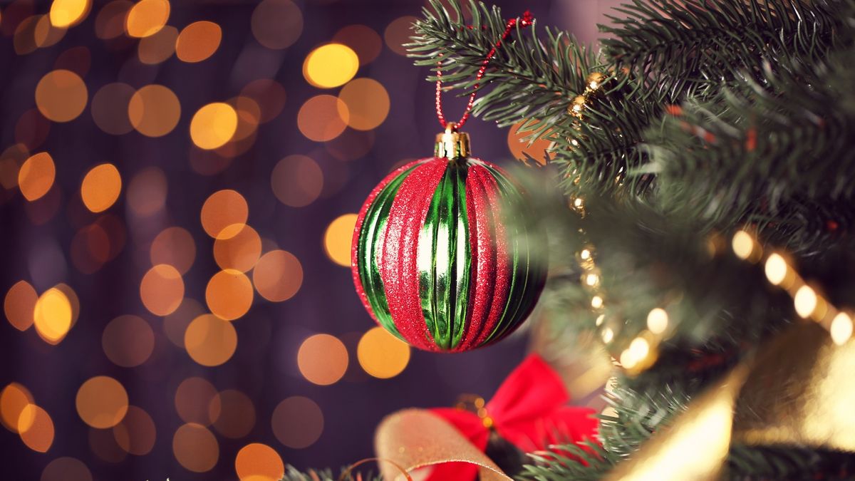 Panamá inicia la Navidad con el encendido del árbol de la Ciudad de las Estrellas