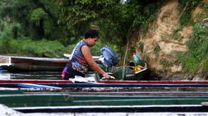 Comer más pescado: una misión que pasa por derribar mitos y precios en Panamá y América Latina