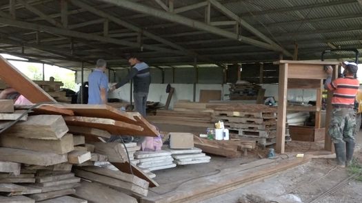 Construyen casas de madera reciclada en Renacimiento