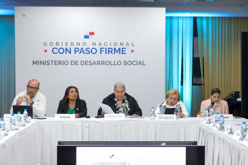 La directora de la Senniaf participó de la reunión extraordinaria del CONNA.