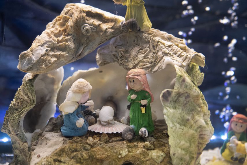 Tradición y folclore de Navidad, el pesebre cumple 800 años