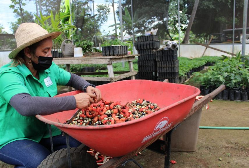 Personal de MiAmbiente en Chiriquí