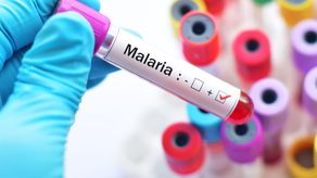 Costa Rica celebra reducción del 94.5 % en casos de malaria durante 2025