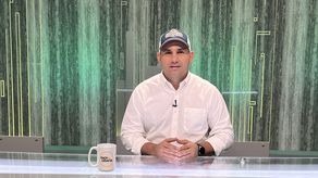 Productores alertan sobre impacto de importaciones de arroz en plena cosecha