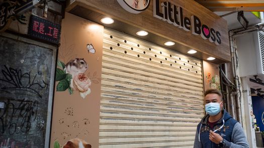 Hong Kong sacrificará hámsters tras detectar casos de covid-19 en mascotas