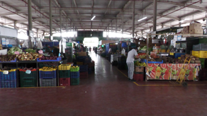 Alzas y bajas en Merca Panamá: El tomate y la lechuga aumentaron de precio