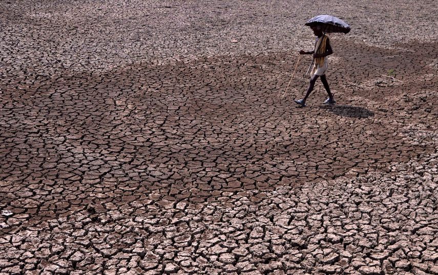 FAO alerta sobre degradación de suelos y agua