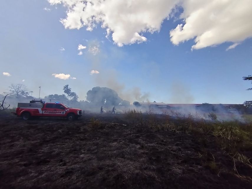 Bomberos reportan 290 incendios de masa vegetal en solo 31 días del 2026