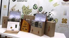 Dubái apuesta por el café geisha panameño más caro del mundo