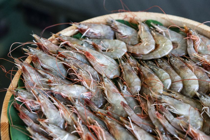 La Autoridad de los Recursos Acuáticos de Panamá (ARAP)