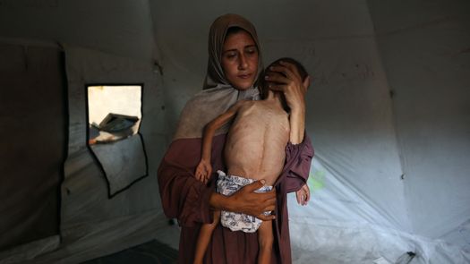 ONU: Gaza sufre el peor escenario posible de hambruna