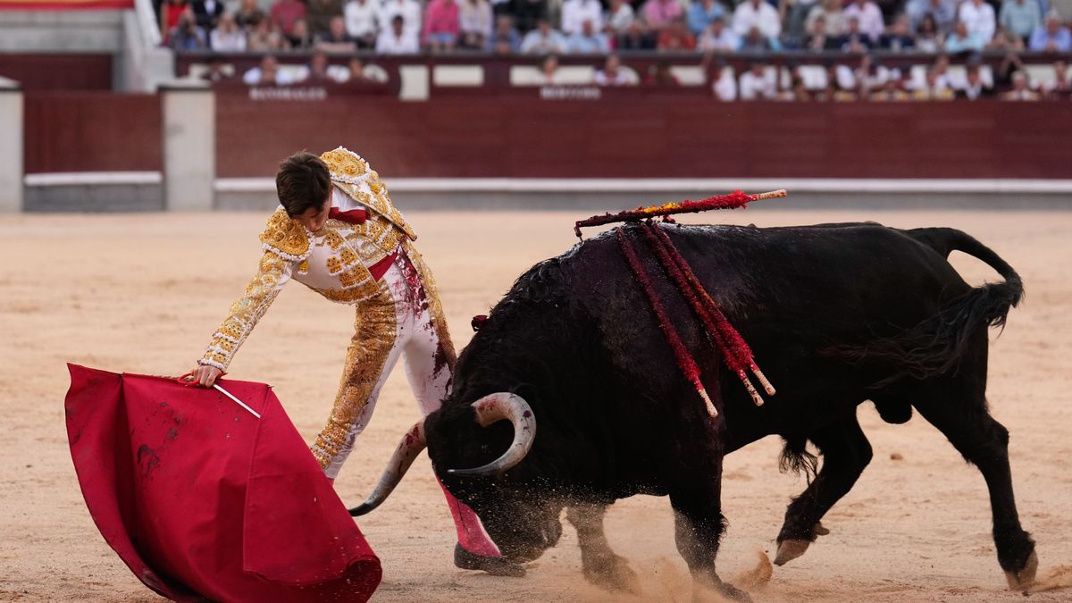 Colombia aprueba proyecto de ley que prohíbe las corridas de toros