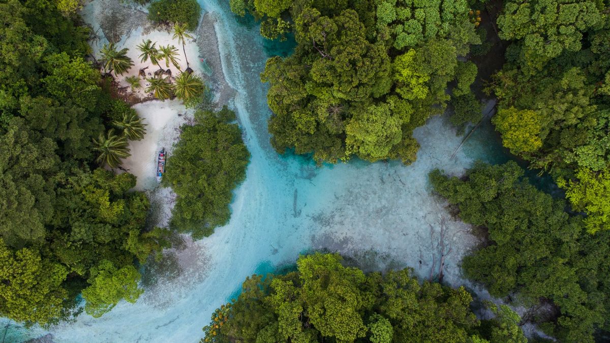 La Sala Tercera de lo Contencioso Administrativo y Laboral de la Corte Suprema de Justicia (CSJ) resolvió no admitir la demanda de nulidad presentada contra dos resoluciones del Ministerio de Ambiente (MiAMBIENTE) relacionadas con la protección del Paisaje Protegido Isla Escudo de Veraguas Degó. La Sala Tercera de lo Contencioso Administrativo y Laboral de la Corte Suprema de Justicia (CSJ) resolvió no admitir la demanda de nulidad presentada contra dos resoluciones del Ministerio de Ambiente (MiAMBIENTE) relacionadas con la protección del Paisaje Protegido Isla Escudo de Veraguas Degó.