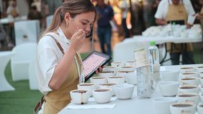 La SCAP informó que ya todo está listo para iniciar la Cata Internacional de Best of Panama la próxima semana con la participación de los 18 jueces internacionales.