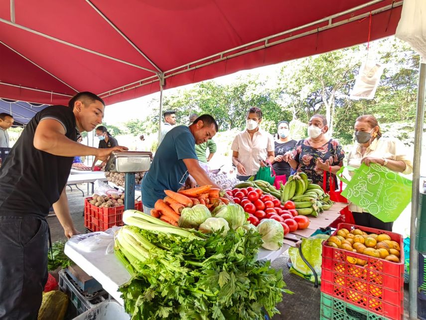 Merca Panamá apoya al productor a comercializar productos