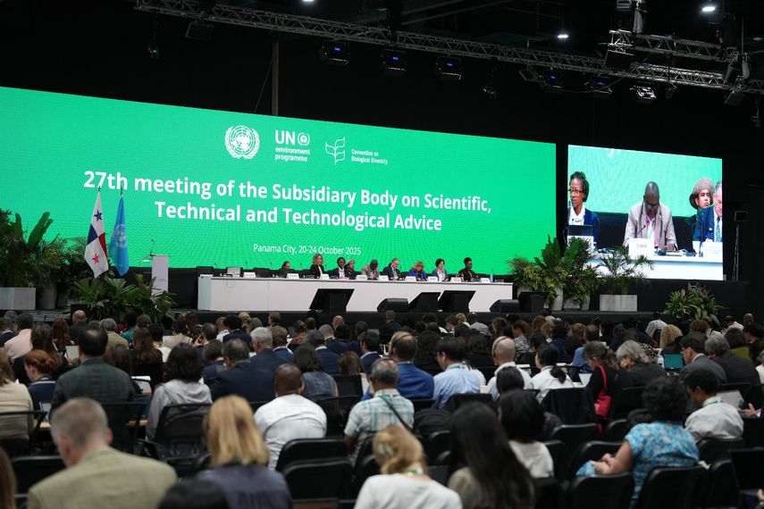 Panamá recibe a delegados de 196 países y más de mil participantes en dos reuniones de gran relevancia para la agenda ambiental internacional: la 27ª Reunión del Órgano Subsidiario de Asesoramiento Científico, Técnico y Tecnológico (OSACTT-27) y la 1ª Reunión del Órgano Subsidiario del Artículo 8(j) (SB8J-1) del Convenio sobre la Diversidad Biológica (CDB), que se celebran en la Ciudad de Panamá del 20 al 30 de octubre de 2025. El CDB es el tratado internacional que guía los esfuerzos globales para proteger la naturaleza. Panamá recibe a delegados de 196 países y más de mil participantes en dos reuniones de gran relevancia para la agenda ambiental internacional: la 27ª Reunión del Órgano Subsidiario de Asesoramiento Científico, Técnico y Tecnológico (OSACTT-27) y la 1ª Reunión del Órgano Subsidiario del Artículo 8(j) (SB8J-1) del Convenio sobre la Diversidad Biológica (CDB), que se celebran en la Ciudad de Panamá del 20 al 30 de octubre de 2025. El CDB es el tratado internacional que guía los esfuerzos globales para proteger la naturaleza.