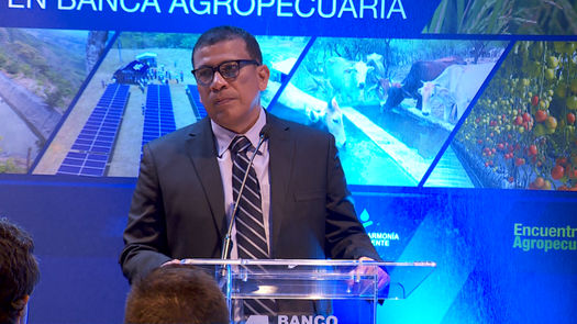 Cultivo de arroz en Panamá: Fondo Latinoamericano analiza retos y avances
