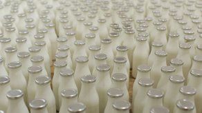 Aprueban recurso por  $430 mil para aumentar productividad lechera