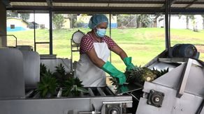 Panamá cerró 2021 con récord en sus exportaciones