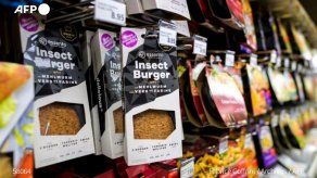 UE da luz verde preliminar a alimentos basados en insectos