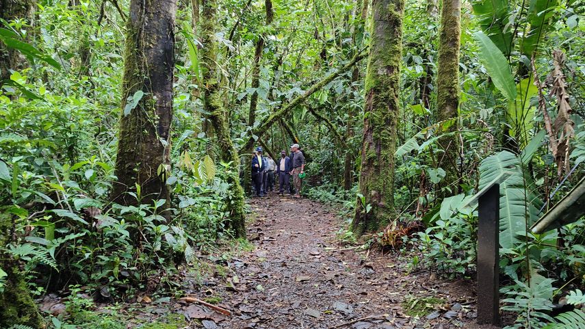 Tramo de acceso vial al Parque Internacional La Amistad tiene riesgo de derrumbe, informó MiAmbiente. Tramo de acceso vial al Parque Internacional La Amistad tiene riesgo de derrumbe, informó MiAmbiente.